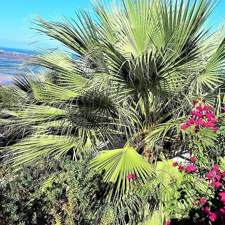 Del Mar Monte Pego