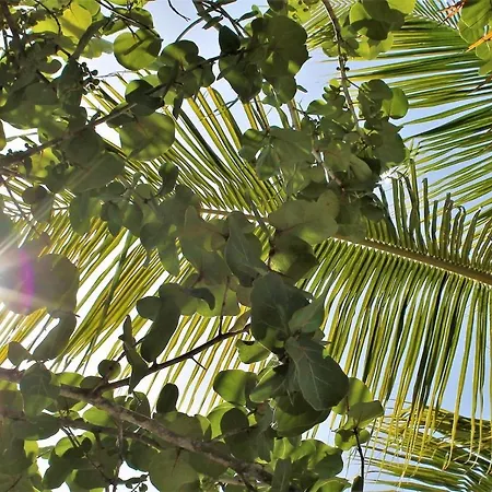 Del Mar بيت للعطل Monte Pego