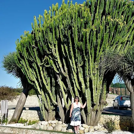 بيت للعطل Del Mar *